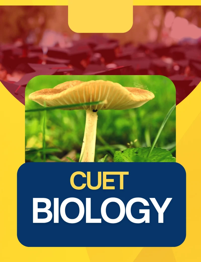 CUET 2024 Biology Notes Chapter 6 Molecular basis of inheritance