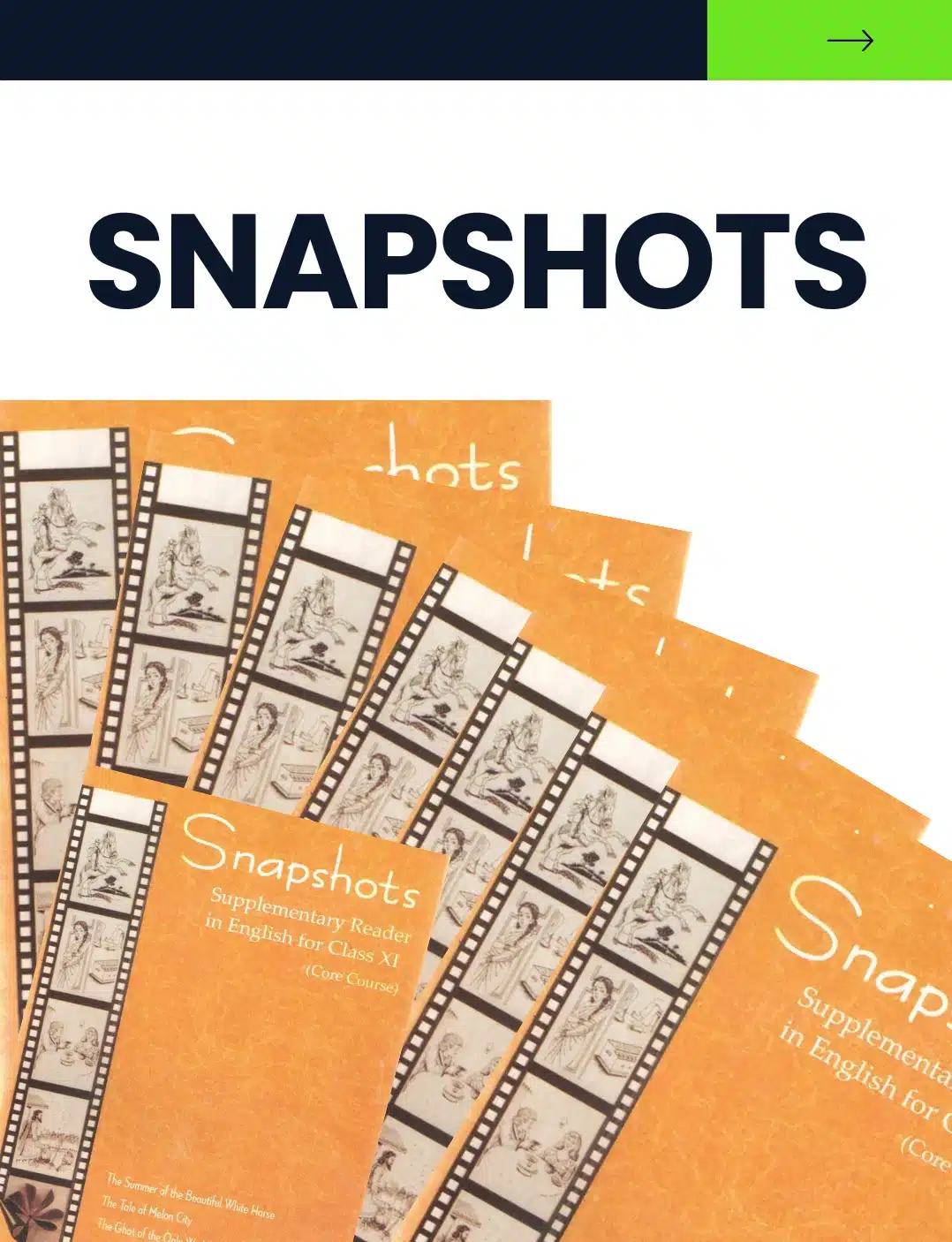 Snapshot