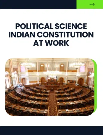 Indian Constitution at Work